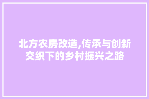 北方农房改造,传承与创新交织下的乡村振兴之路