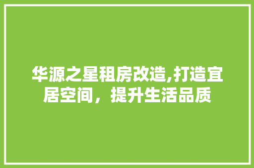 华源之星租房改造,打造宜居空间，提升生活品质