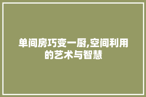 单间房巧变一厨,空间利用的艺术与智慧