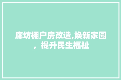 廊坊棚户房改造,焕新家园，提升民生福祉