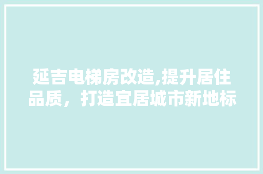延吉电梯房改造,提升居住品质，打造宜居城市新地标
