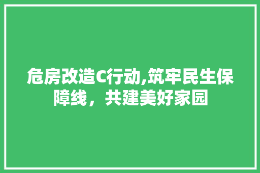 危房改造C行动,筑牢民生保障线，共建美好家园