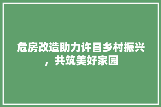 危房改造助力许昌乡村振兴，共筑美好家园