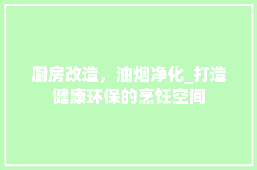 厨房改造，油烟净化_打造健康环保的烹饪空间
