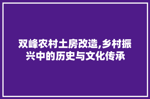双峰农村土房改造,乡村振兴中的历史与文化传承