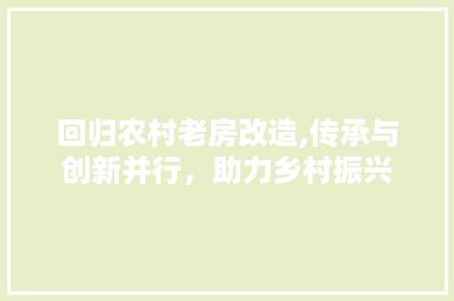 回归农村老房改造,传承与创新并行，助力乡村振兴