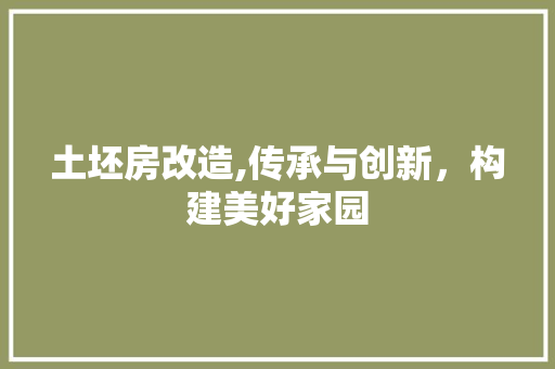 土坯房改造,传承与创新，构建美好家园