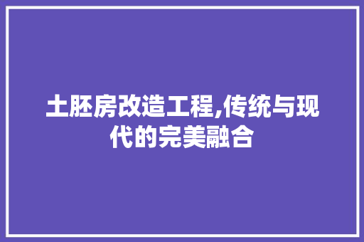 土胚房改造工程,传统与现代的完美融合