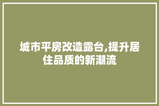 城市平房改造露台,提升居住品质的新潮流