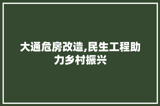 大通危房改造,民生工程助力乡村振兴