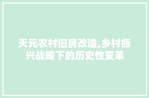天元农村旧房改造,乡村振兴战略下的历史性变革
