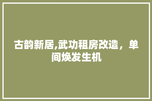 古韵新居,武功租房改造，单间焕发生机
