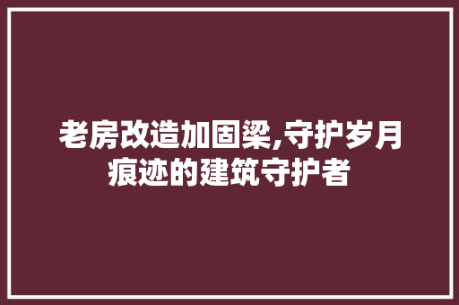 老房改造加固梁,守护岁月痕迹的建筑守护者