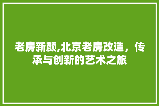 老房新颜,北京老房改造，传承与创新的艺术之旅