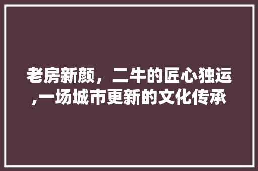 老房新颜，二牛的匠心独运,一场城市更新的文化传承之旅