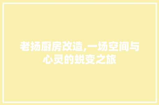 老扬厨房改造,一场空间与心灵的蜕变之旅