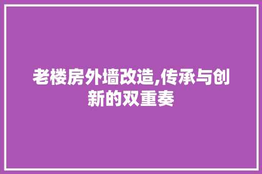 老楼房外墙改造,传承与创新的双重奏