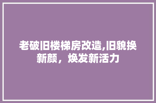 老破旧楼梯房改造,旧貌换新颜，焕发新活力
