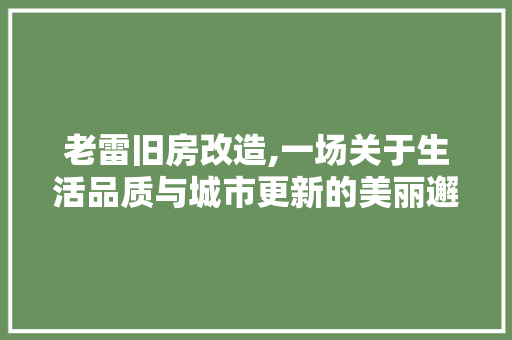 老雷旧房改造,一场关于生活品质与城市更新的美丽邂逅