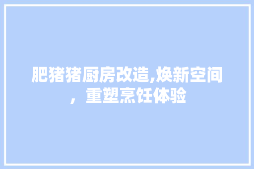 肥猪猪厨房改造,焕新空间，重塑烹饪体验
