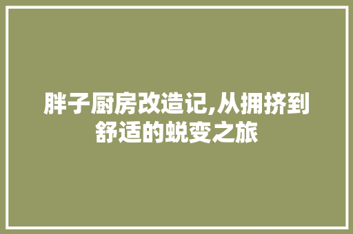 胖子厨房改造记,从拥挤到舒适的蜕变之旅