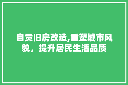 自贡旧房改造,重塑城市风貌，提升居民生活品质