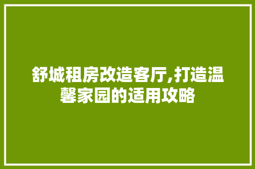 舒城租房改造客厅,打造温馨家园的适用攻略