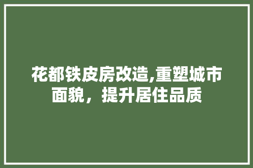 花都铁皮房改造,重塑城市面貌，提升居住品质