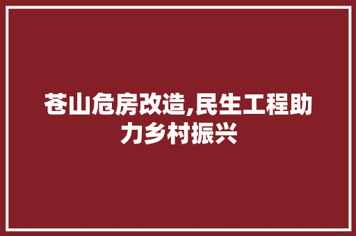 苍山危房改造,民生工程助力乡村振兴