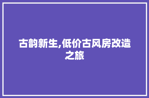 古韵新生,低价古风房改造之旅