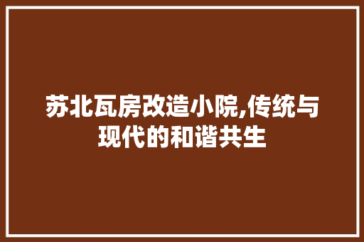 苏北瓦房改造小院,传统与现代的和谐共生