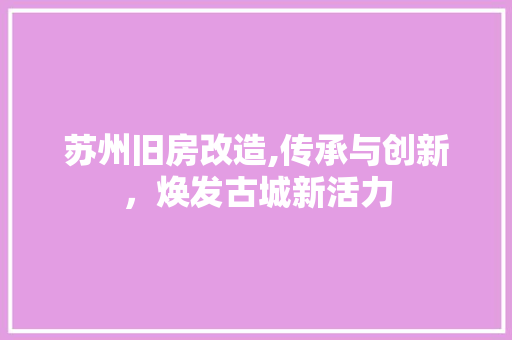 苏州旧房改造,传承与创新，焕发古城新活力