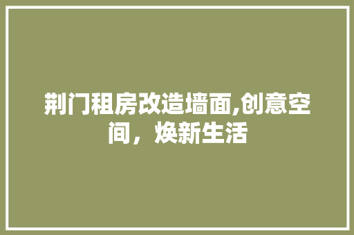 荆门租房改造墙面,创意空间，焕新生活