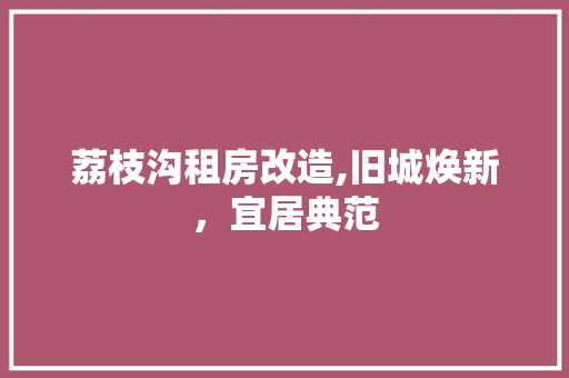 荔枝沟租房改造,旧城焕新，宜居典范