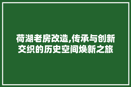 荷湖老房改造,传承与创新交织的历史空间焕新之旅