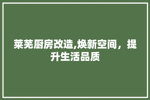 莱芜厨房改造,焕新空间，提升生活品质