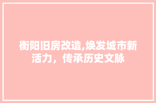 衡阳旧房改造,焕发城市新活力，传承历史文脉