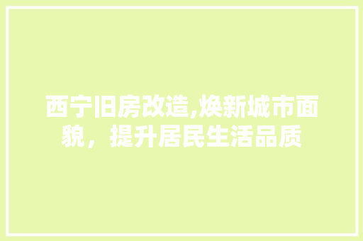 西宁旧房改造,焕新城市面貌，提升居民生活品质