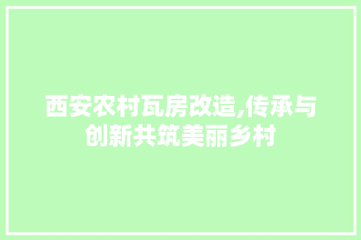 西安农村瓦房改造,传承与创新共筑美丽乡村