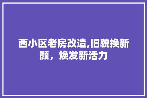 西小区老房改造,旧貌换新颜，焕发新活力