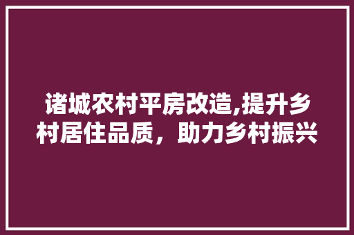 诸城农村平房改造,提升乡村居住品质，助力乡村振兴