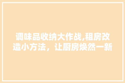 调味品收纳大作战,租房改造小方法，让厨房焕然一新