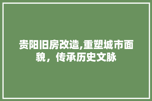 贵阳旧房改造,重塑城市面貌，传承历史文脉
