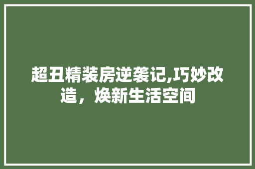 超丑精装房逆袭记,巧妙改造，焕新生活空间