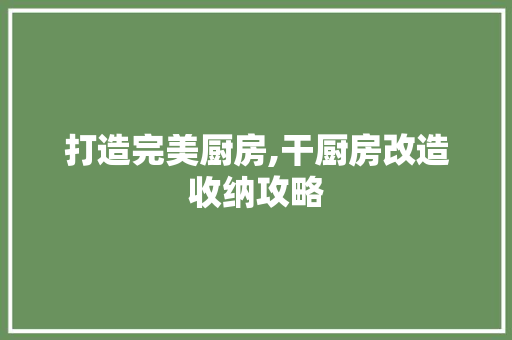 打造完美厨房,干厨房改造收纳攻略