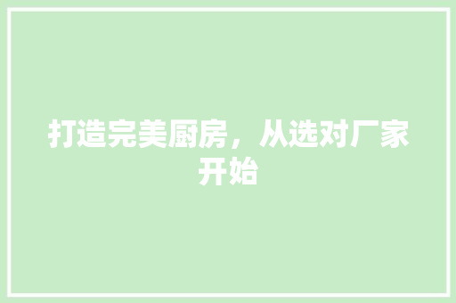 打造完美厨房，从选对厂家开始