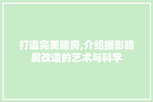 打造完美暗房,介绍摄影暗房改造的艺术与科学