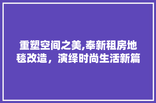 重塑空间之美,奉新租房地毯改造，演绎时尚生活新篇章