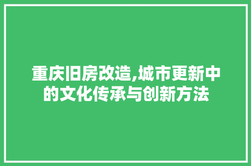 重庆旧房改造,城市更新中的文化传承与创新方法