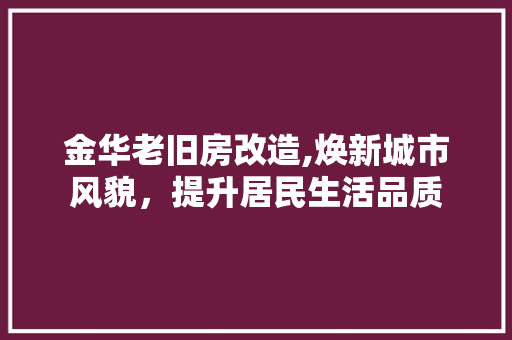 金华老旧房改造,焕新城市风貌，提升居民生活品质